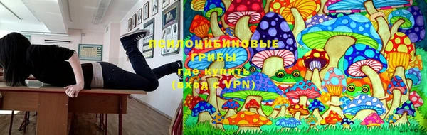 прущая мука Заволжск
