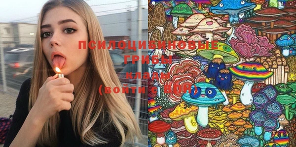 ПСИЛОЦИБИНОВЫЕ ГРИБЫ Зеленокумск