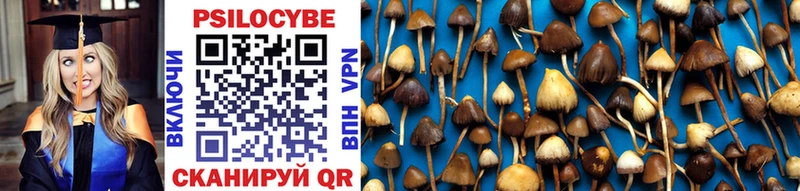 Купить  Енисейск  Псилоцибиновые грибы Psilocybine cubensis 